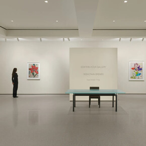 Sebastiaan Bremer, Super modern things, exhibition view. Courtesy of Edwynn Houk Gallery