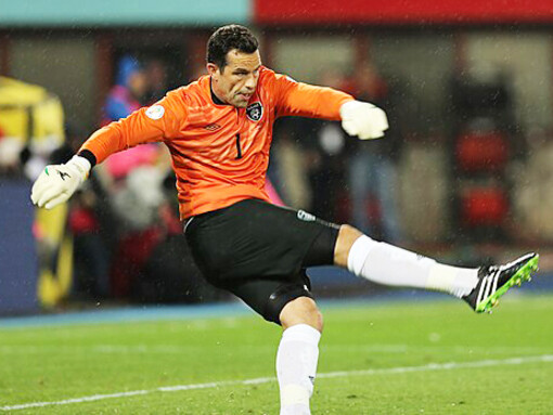 On September 10, 2013, during the 2014 FIFA World Cup qualification match in Vienna's Ernst-Happel-Stadion, the Republic of Ireland's goalkeeper, David Forde, prepared for the game against Austria, which ended in a 0-1 defeat for Ireland