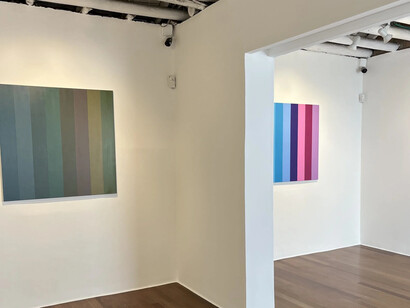 Fernando Uhía, Bipolares o Jurassic lines, vista de exhibición. Cortesía de Galería Nueveochenta