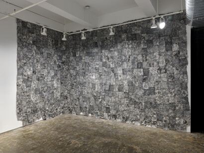 Exhibition view, Xinyi Liu, Scab, 2024, A.I.R. Gallery, Brooklyn, NY. Photography by Matthew Sherman. Courtesy of A.I.R. Gallery