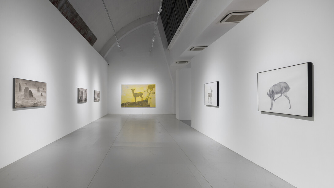 Tang Hui, Forms and scenery, exhibition view. Courtesy of Tokyo Gallery + BTAP