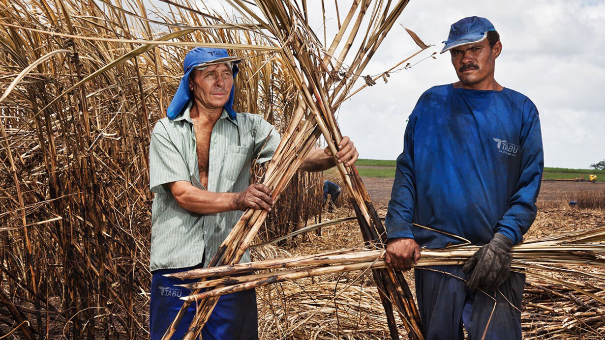 Jonathas de Andrade: Visões do Nordeste. Courtesy of Museo Jumex