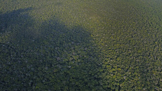 Helicóptero sobrevolando la selva