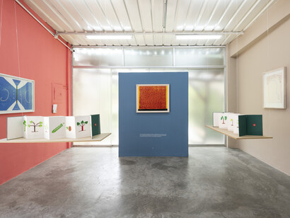 Sheroanawe Hakihiiwe, Riprosipe thamou hithithiwe (Libros de conocimiento), vista de exhibición. Cortesía de ABRA