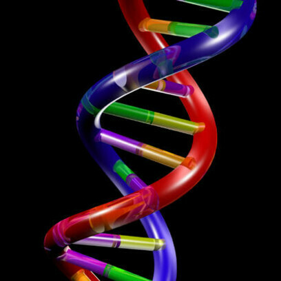 Moderne Technologien ermöglichen es uns, die DNA in unseren 23 menschlichen Chromosomenpaaren zu analysieren