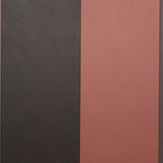 Galeria Raquel Arnaud