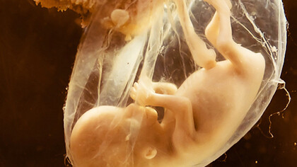 The origin of life