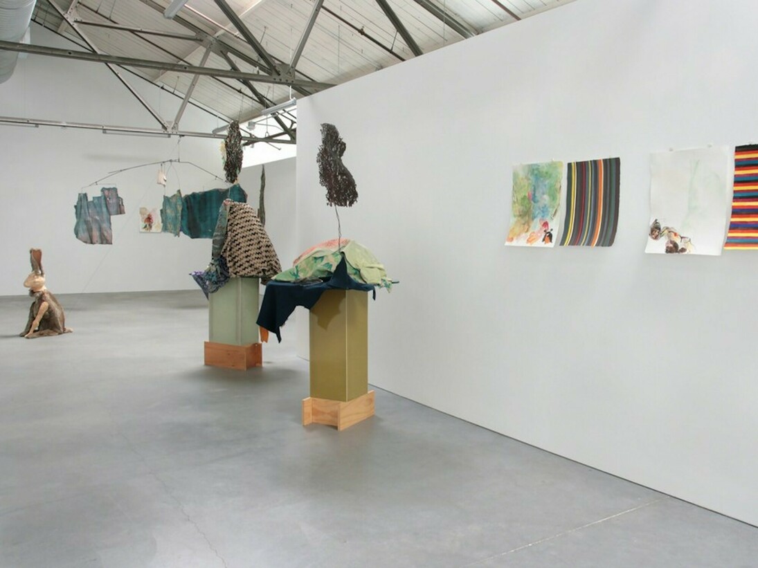 Anne Chu, Exhbiition view. Courtesy of Anglim Gilbert Gallery