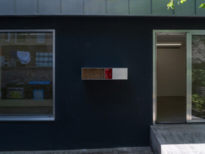 Henrik Håkansson, An ideal for living (The insect societies, prototype), exhibition view. Courtesy of Meyer Riegger Gallery