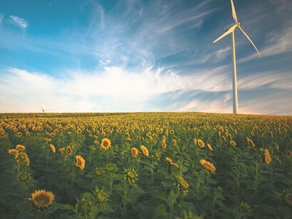 A solo wind turbine in the middle of a field of sunflowers is the logical choice for alternative energy in the world's call for climate action 
