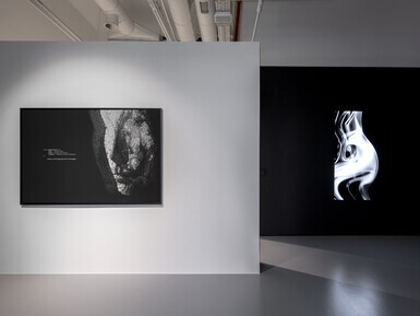 Installation view of ID.exe / the human patch, solo exhibition by Ecem Dilan Köse, Art On Istanbul, 2025. Photo © Kayhan Kaygusuz, courtesy of the artist and Art On Istanbul