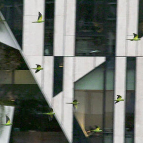 Cyprien Gaillard. Roots Canal. Courtesy of Museum Tinguely