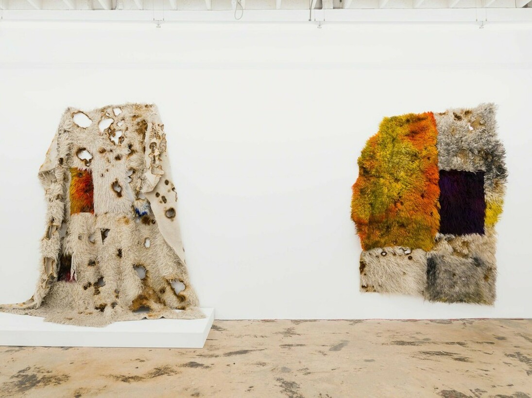 Hot Fruit, Exhibition view. Courtesy of Nina Johnson