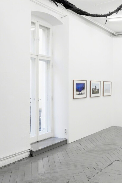 Installation view, 2019
EIGEN + ART Lab
Photo: Otto Felber
courtesy Raul Walch and EIGEN + ART Lab
