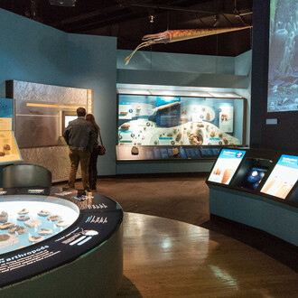 Griffin Halls of Evolving Planet. Courtesy of Field Museum