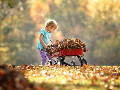 Menina juntando folhas