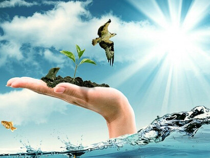 SAVE IT by Daniel Reuber, detail (Creative Works on The Theme Global Warming)