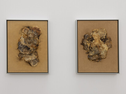 Carlos Fernández-Pello, Alguien nos entenderá cuando estemos muertos, vista de exhibición. Cortesía de Galería Nordés