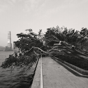 South Ho Siu Nam. Courtesy of Blindspot Gallery