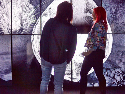 Beyond perception, seeing the unseen, exhibition view. Courtesy of Scienceworks