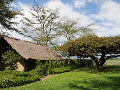 Walking safari, Kenya, Africa. È un’esperienza unica trovarsi nel mezzo della natura selvaggia con gli agi del ventunesimo secolo