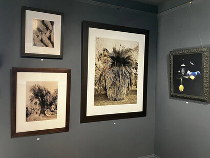 José Picayo, 35 years in photographs, exhibition view. Courtesy of Robin Rice Gallery