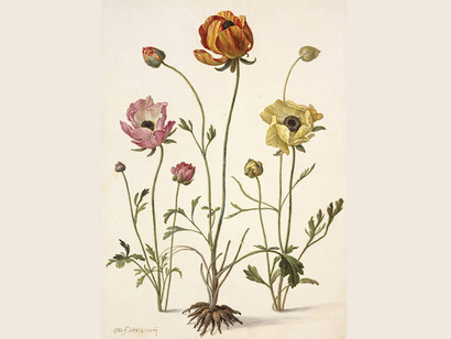 The Charm of the Small. Courtesy of Gemäldegalerie