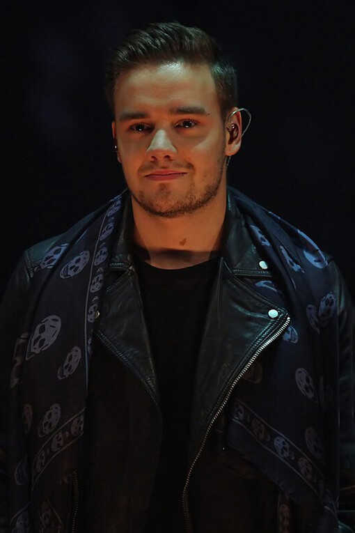 Liam Payne en el show alemán "Wetten, dass..?", 8 de noviembre de 2014