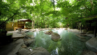 Hot springs are literally everywhere in Japan