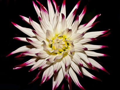 Non giudicare la tua meditazione  
