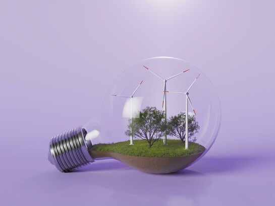 A conceptual lightbulb encloses wind turbines and trees, illustrating how innovation and renewable energy power a greener economic future