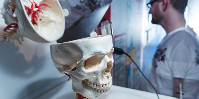 Christian Doppler. Genius From Salzburg. Courtesy of Haus der Natur