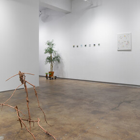 Flora/Fauna. Courtesy of Josée Bienvenu Gallery