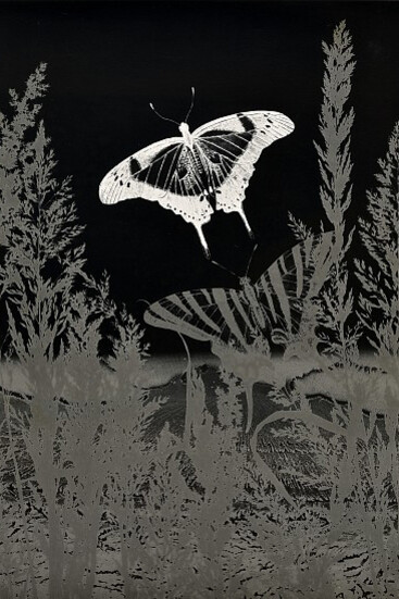 Jean-Pierre Sudre, Insecte (detail), 1979. Courtesy of Gitterman Gallery