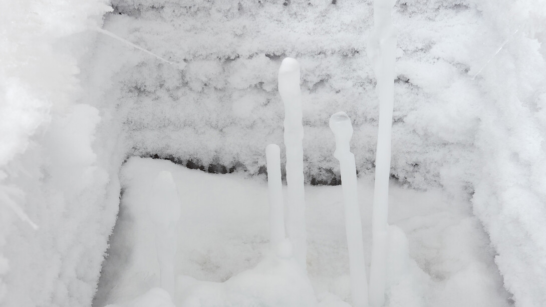 Bojan Šarčević, AHTMalta185/Ain'tnobody, 2018, detail. Photo: Robert Glowacki. © Bojan Šarčević. Courtesy the artist & Stuart Shave/Modern Art, London