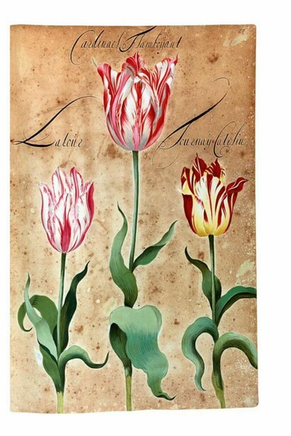 Hortus Amoenissimus, painted by Franciscus De Geest and published in 1668