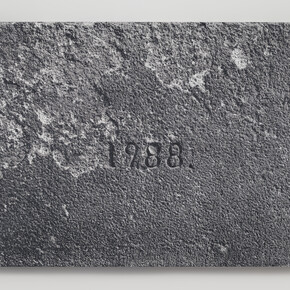 Paul Sietsema, 1988, 2014, Acrylic ink on linen mounted to panel, 49 x 71 1/4 inches. ©Paul Sietsema, Courtesy Matthew Marks Gallery