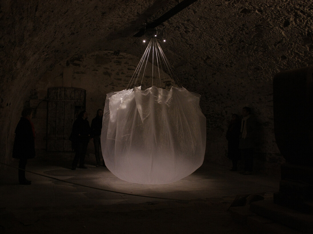 Maxime Boutin, Turritopsis Nutricula, 350 x 600 cm, 2013. Courtesy the artist