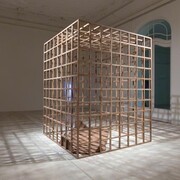 Sudarshan Shetty. Courtesy of Galerie Krinzinger
