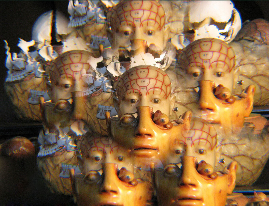 Beatrice M. Serpieri, De Corporis Fabrica (Utopia)