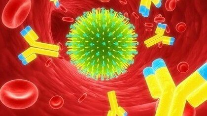 Virus dell'influenza.