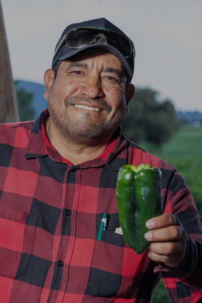Un hombre de campo enseñando alegre el pimiento que recogió