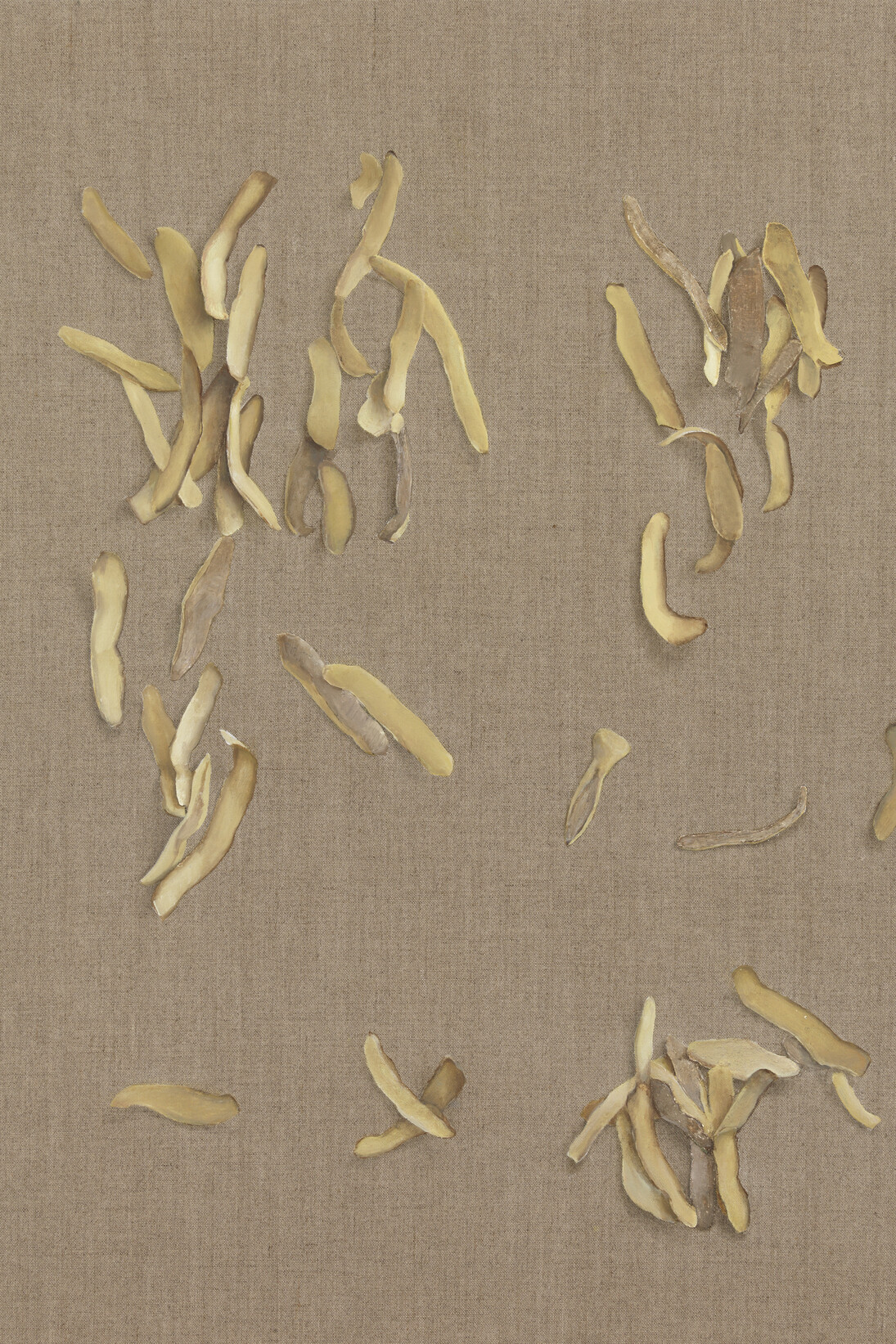 Helene Appel
Potato Peel, 2013
Oil on canvas
67 x 58.5 cm
AP-APPEH-00090 courtesy the artist and The Approach, London