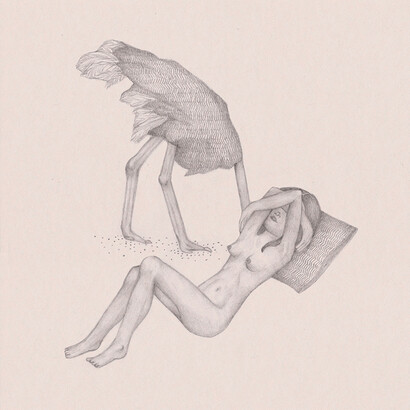 Ostrich