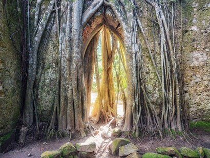 Aurelien Villette, Monserrate palace's chapel Sintra, Portugal 2014. Per gentile concessione della Galleria Forni