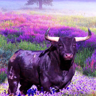 Il Toro