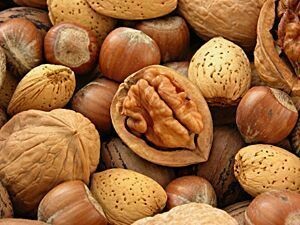 Noci fresche
