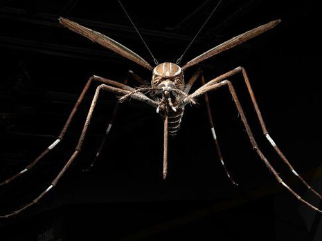 Outbreak: Epidemics in a Connected World. Courtesy of Smithsonian's National Museum of Natural History