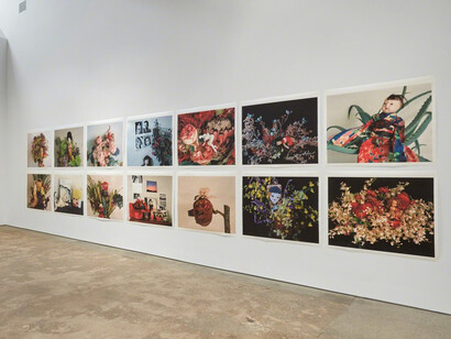 Hana Jinsei. Courtesy of Over the Influence 