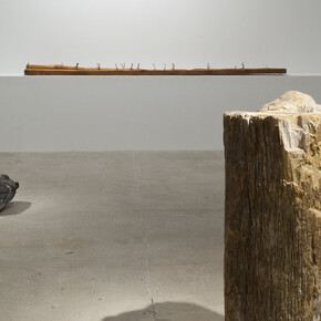 Giuseppe Penone. Courtesy of Marian Goodman Gallery